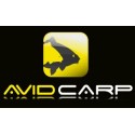 AVID CARP