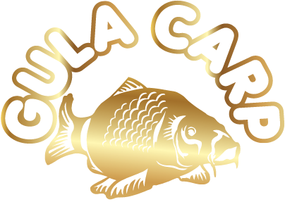 GULA CARP